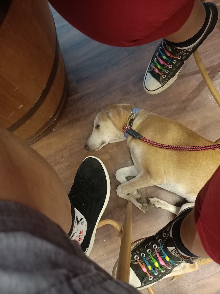 2 pairs of feet, shoes and a sleeping dog between them on the floor