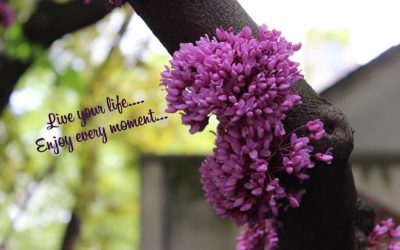 When Family Doesn’t Get It — And That’s Okay